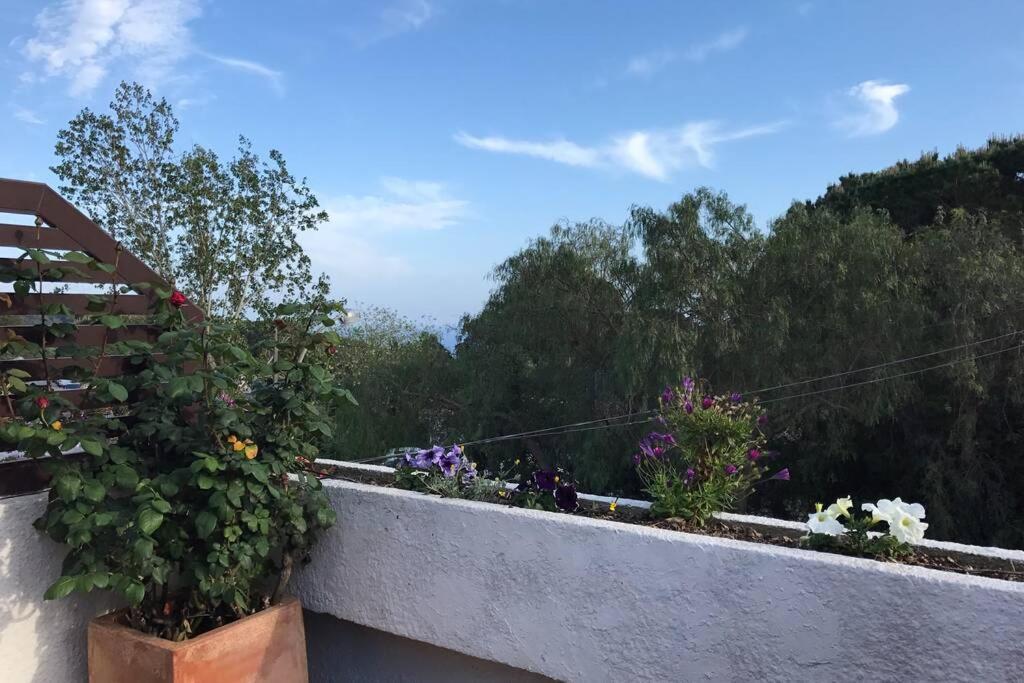 Casita Blanca Con Fibra Optica Y Piscina Cominutaria Villa Tossa de Mar Ngoại thất bức ảnh
